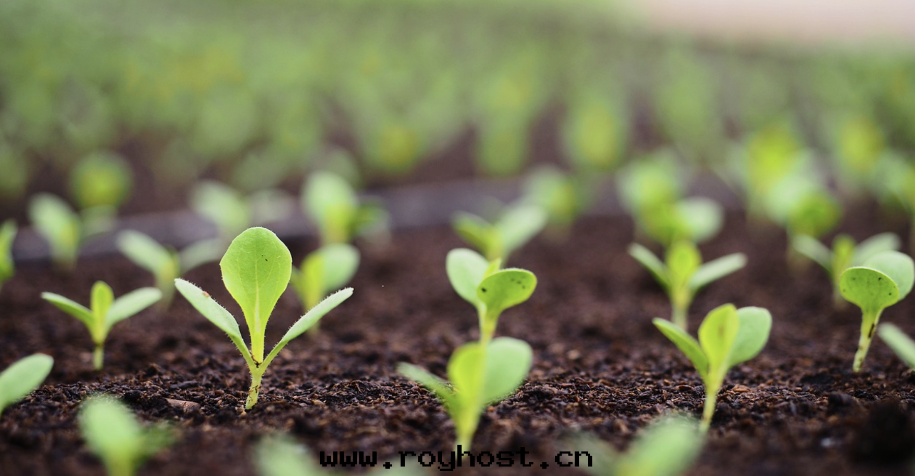 鼎泰恒勝設備助力第(dì)三(sān)次(cì)全(quán)國(guó)土(tǔ)壤普查